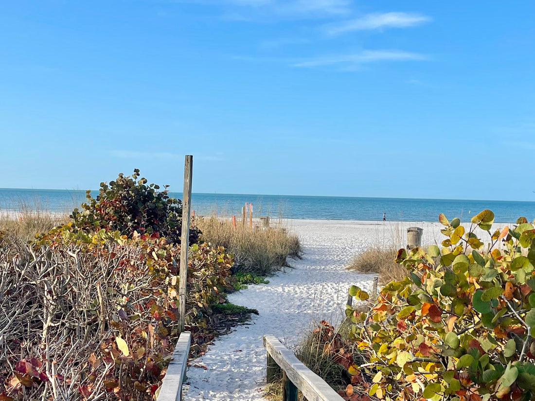 The Ultimate Local Guide to St. Pete Beach, Treasure Island & Madeira Beach 🌴☀️