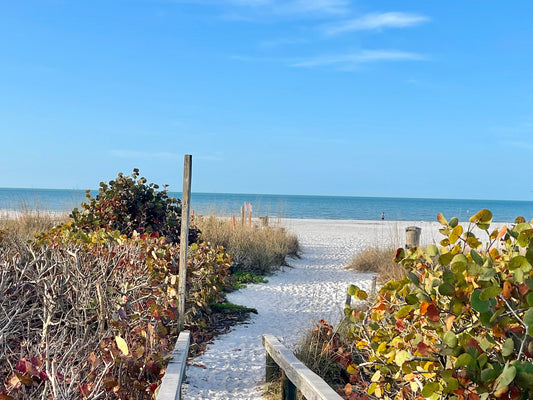 The Ultimate Local Guide to St. Pete Beach, Treasure Island & Madeira Beach 🌴☀️